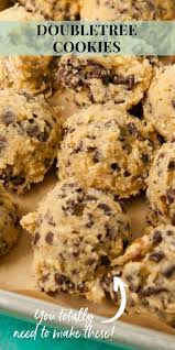 Doubletree Cookie Recipe The Little Kitchen In 2020 Cookie Recipes Best Cookie Recipes Cookies Recipes Chocolate Chip