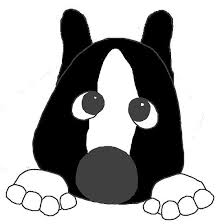 Black And White Akita Akita Black And White Mask White Markings Peeking White Mask Black And White Akita