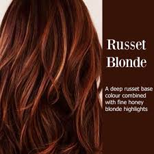 Pin On New Hair Color