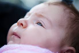 Woodlot — Journal — MARCHÉ + ATELIER