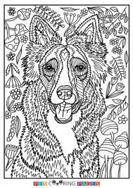 Border collie coloring pages are a fun way for kids of all ages to develop creativity, focus, motor skills and color recognition. Super Dogs Drawing Simple Border Collie 25 Ideas In 2021 Dog Drawing Simple Dog Coloring Page Horse Coloring Pages