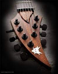 Ran Guitars Crusher Guitar Tech Guitar Cigar Box Guitar