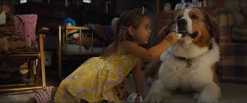 Gene kemp, paul howard : A Dog S Journey Download Maddownload Com