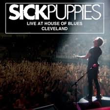 You're going down (рингтон) — sick puppies. Lyrics To The Song You Re Going Down Sick Puppies