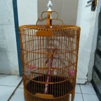 Memelihara burung telah menjadi semenjak dulu. Jual Sangkar Burung Murai Batu Terlengkap Terbaik Harga Murah July 2021