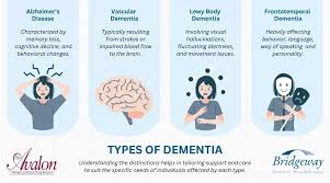 Image result for Behavior Problems in Dementia