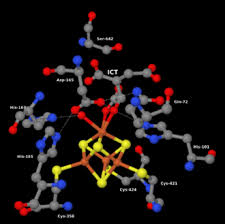 Herman mashaba is an unlikely mayor for south africa's largest city. Enzym Wikipedia