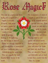 When I Have Fears That I May Cease To Be Analysis Pdf Rose Magick Magick Magickal Herbs Magick Spells