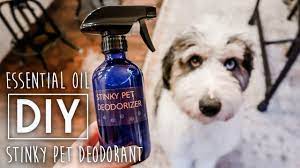Diy Stinky Pet Deodorizer Spray Youtube