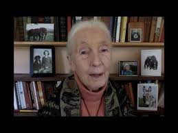 Jane Goodall. Self Portrait.