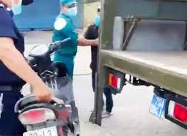Lấn chiếm đất rừng còn hành hung phó chủ tịch phường, bị bắt khẩn cấp : Cxzygdelkzik5m