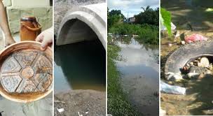 Resultat d'imatges de mosquito dengue causas
