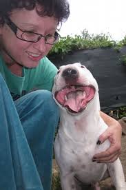 Dovolenkári 2012‚ 2011