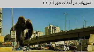 سخرية في زمن الهلع نكات مضحكة مبكية لمواجهة نهاية لبنان صو