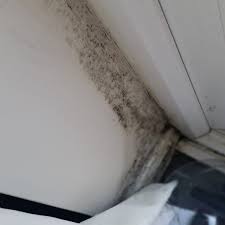 Check spelling or type a new query. How To Prevent Condensation In Your Home Dengarden