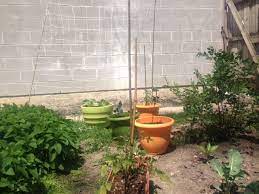 Check spelling or type a new query. Urban Farming A Poor Man S Tricks To Reap The Rewards American Grit