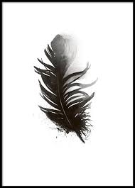 Black And White Watercolor Feather Tattoo Black Feather Aquarell Poster Watercolor Feather White Art Wall Collage Picture Frames