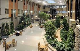 Search Results The 25 Most Beautiful Hospitals In The World Hospital Architecture Hospital Design Healthcare Architecture
