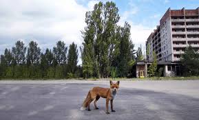 Уже рухнули две школы в припяти. Pripyat Segodnya Pikabu