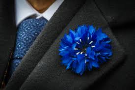 Image result for Bleu Poste France 1978 Fleet