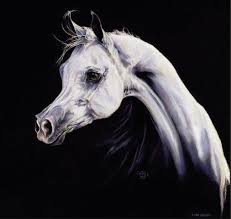 Horse Breeds A Arabian Page 7 Arabian Horse Art Horse Art Horse Artwork