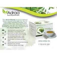 Daunnya juga boleh dijadikan minuman teh yang bagus untuk kesihatan serta mampu 'membersihkan' perut dan memastikan teh daun durian belanda juga telah lama dijadikan bahan untuk mengurangkan stres dan kebimbangan. Kebaikan Daun Durian Belanda