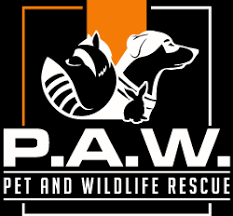 Our cats are housed in our two raleigh store locations and our dogs. Paw Rescue