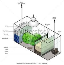 Fishkeepers Stock Photos Images Pictures Saltwater Aquarium Setup Aquarium Setup Saltwater Aquarium