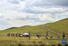 呼伦贝尔大草原夏日即景-新华网