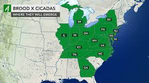 The 2021 cicada emergence is the largest off all broods, affecting portions of de,ga,il,in,ky,md.mi,nc is your area affected by either emergence? 2021 Cicada Map These 15 States Are Most Likely To See Brood X Cicadas Invasion Soon Nj Com
