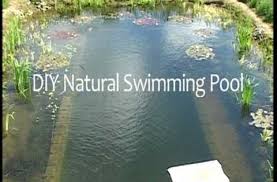 Diy Natural Swimming Pools Youtubehow To Build A Chemical Free Natural Swimming Pool For A Diy Swimming Pool Natural Swimming Pools Amazing Swimming Pools
