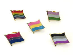 Lgbt is still a popular term used to discuss gender and sexual minorities, but all gsrm are welcome beyond lesbian, gay, bisexual, and transgender people who consent to participate in a safe space. Lgbtq Flag Enamel Lapel Pin Badge Gay Pansexual Asexual Bisexual Gender Fluid Genderqueer Lgbt Rainbow Pride By Butler Grace Amazon Co Uk Handmade Products