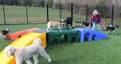 Dog Daycare – Duffy's Bed and Biscuit, LLC