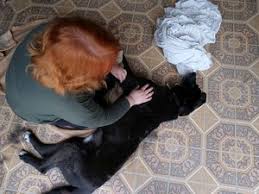 Photo Toute l'actualité santé - Page 2 - ladepeche.fr