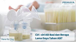 Air apa yang dipakai, direbus berapa lama, berapa. Ciri Asi Basi Dan Berapa Lama Daya Tahan Asi Primaya Hospital