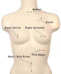 Natural Beauty Ear Piercing Belly Button Piercing Body Piercing Hanley Stoke On Trent Stoke Body Piercing