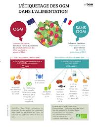 Infographie L Etiquetage Avec Ou Sans Ogm Dans L Alimentation France Ue Ogm Etiquetage France