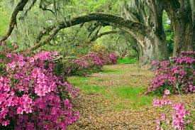 8 foto pemandangan alam asli indah mempesona gambar indah. Kumpulan Foto Pemandangan Alam Yang Indah Sakuja