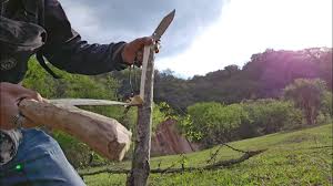 Image result for Batopedina