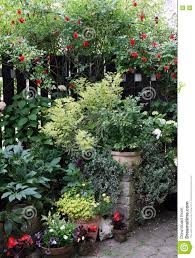 We did not find results for: Pin By Darko Plohl On Potted Plants Ornamental Plants Plants Backyard Landscaping Designs