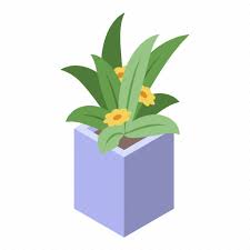 I am an artist, designer, and practicing physician. Cartoon Floral Flower Isometric Pot Rose Summer Icon Download On Iconfinder