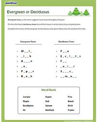 Free printable social stories worksheets is a great way to teach your students how to capture social media. Evergreen Or Deciduous Social Studies Worksheet Jumpstart