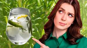 Cuáles son los beneficios del agua de jamaica con romero?