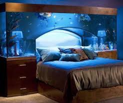 Because they excel in bowls and small aquariums, bettas have become the perfect fit for the classroom, workplace, bedroom, or kitchen countertop. Benefits Of A Fish Tank And The Science Feng Shui Behind It