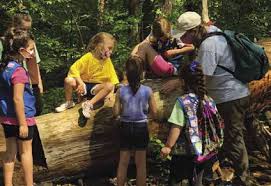 2021 GSSNE Annual Report