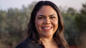 Increased crocodile activity in Palmerston recreational lakes a concern