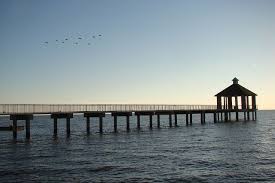 Pier At Mandeville Louisiana Louisiana Travel New Orleans Louisiana Louisiana Homes