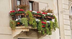 تفسير حلم رؤية الشرفة في المنام