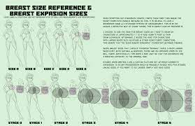 Breast Size Reference & Breast Expansion Sizes by 7-Light-Of-Shadows-7 --  Fur Affinity [dot] net