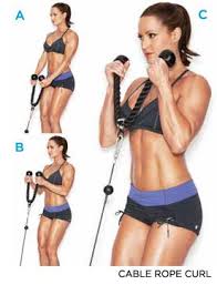 Cable Rope Bicep Curl Off 53 Canerofset Com